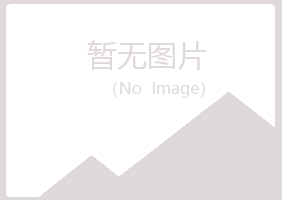 鹤岗东山念寒计算机有限公司